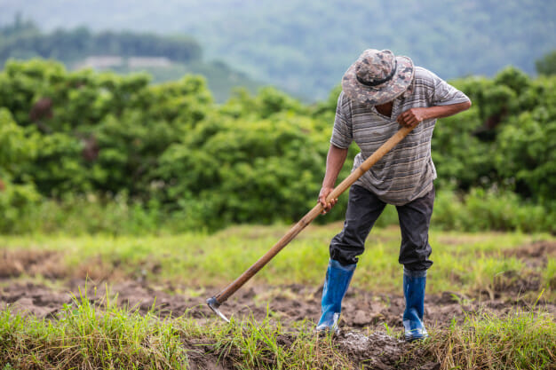 Dia do Trabalhador Rural: Pilar do agronegócio brasileiro